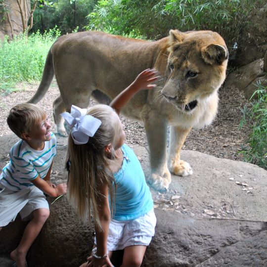 Alexandria Zoological Park
