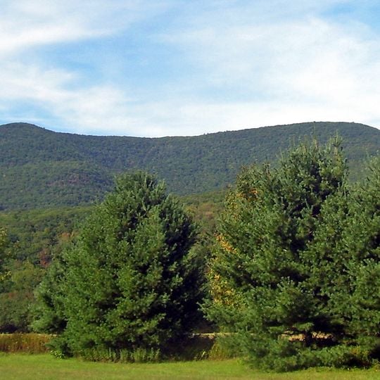 Mount Tremper