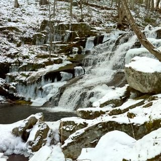 Falls Brook Trail