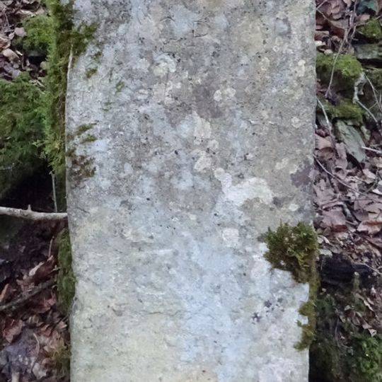 Milestone, Hen Wood?