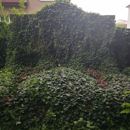 Hrob rodiny Lillingovy