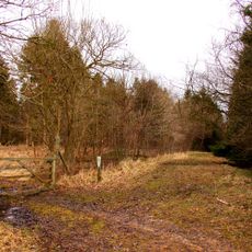 Shabbington Woods Complex