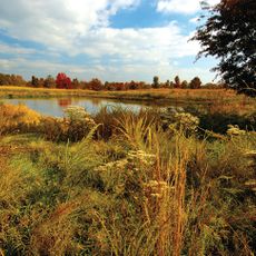 Occoquan Bay National Wildlife Refuge