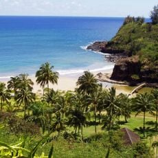 National Tropical Botanical Garden