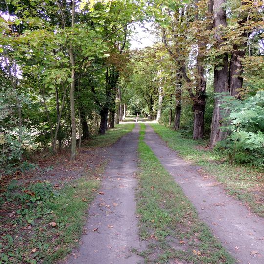 Sokolniki, Zgierz County