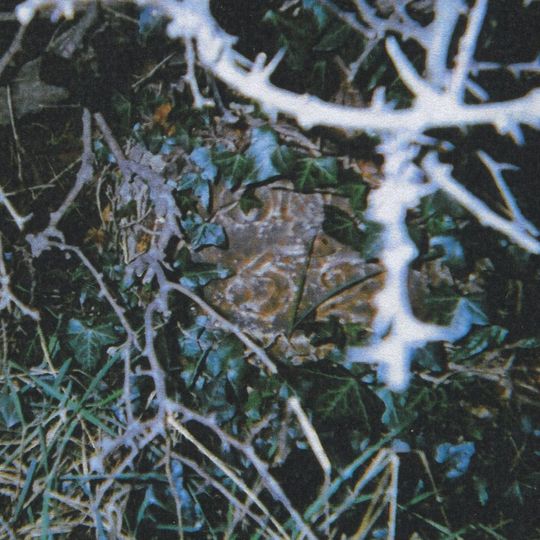 Milestone, Rye Road, W of entrance to Lamberden Farm