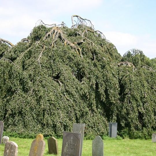 Walcot near Folkingham