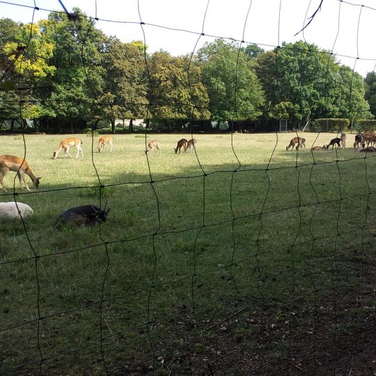 Wildgehege Hochhausen