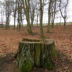 Ámosov kaštieľ a park, park