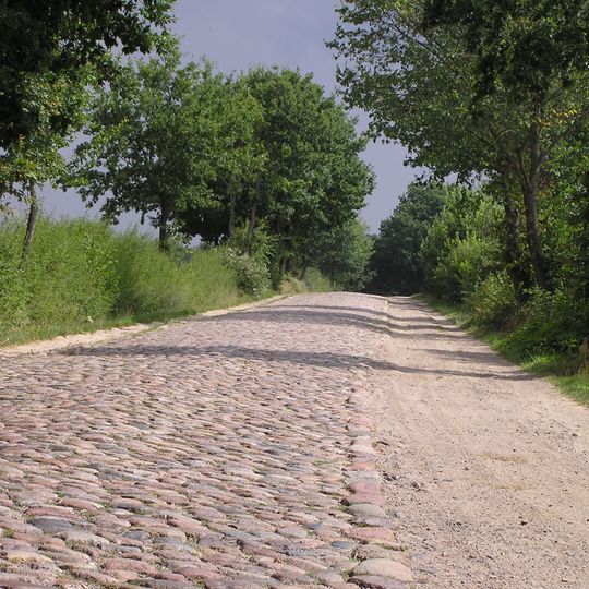 Pflasterstraße mit Sommerweg