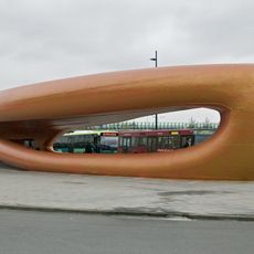 The Amazing Whale Jaw