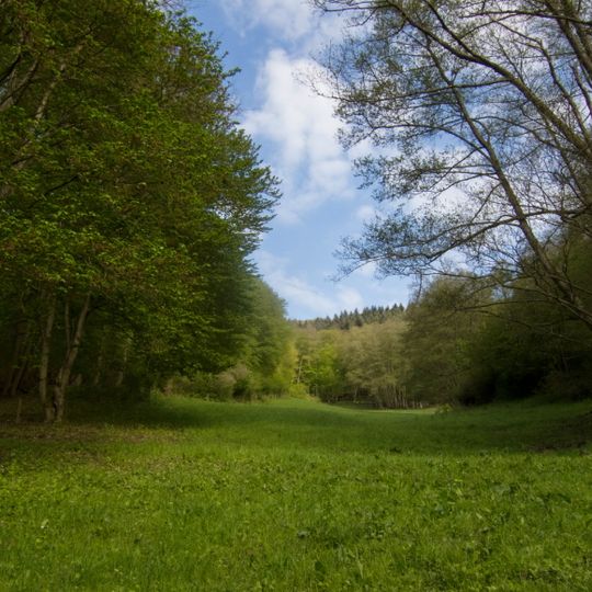Hexwiese und Hohekadrich bei Lorch