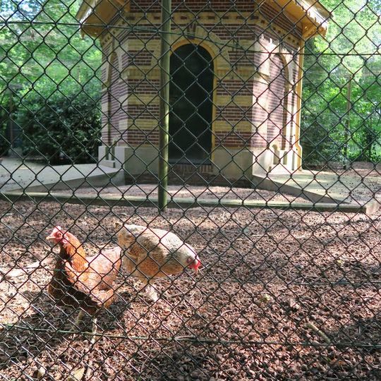 Molenbosch: kippenpaleis