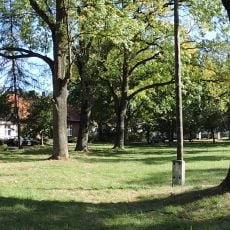 Układ ruralistyczny