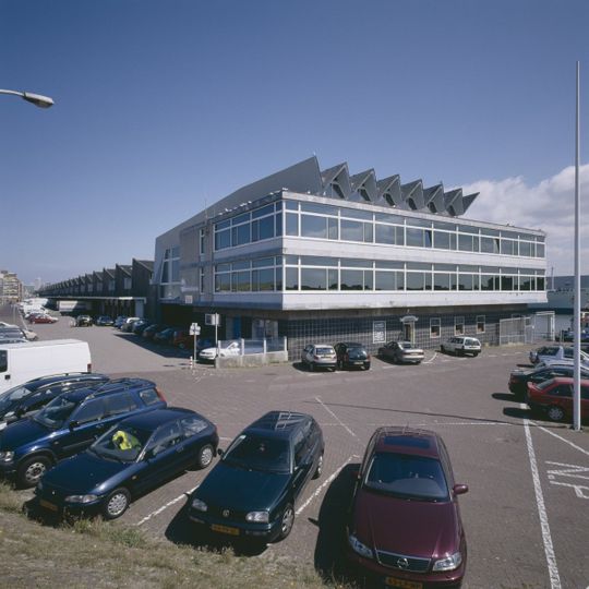 Scheveningen's Fish Auction