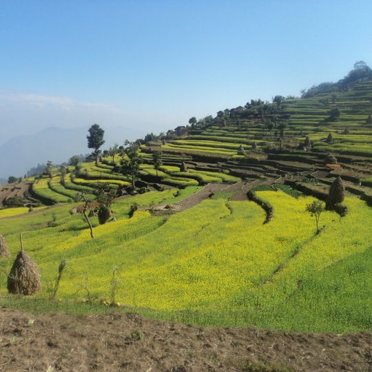 Sindhuli