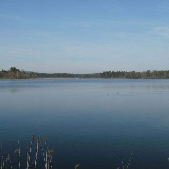 Vogelfreistätte Großer Rußweiher