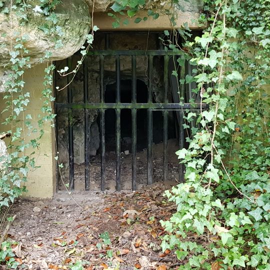 Sint-Jansboschgroeve V