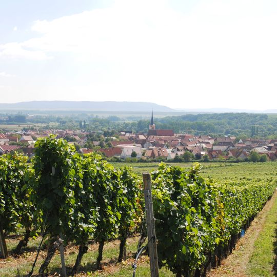 Sommeracher Katzenkopf