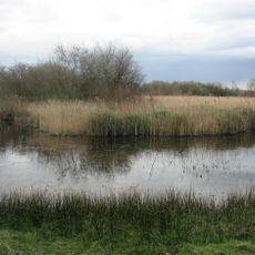 Fowlmere RSPB reserve
