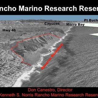 Kenneth S. Norris Rancho Marino Reserve