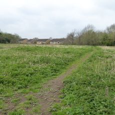 Eastern Road Nature Reserve