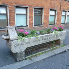 Cattle Trough