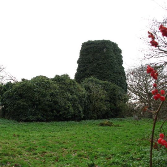 Remains of Church of St Edmunds