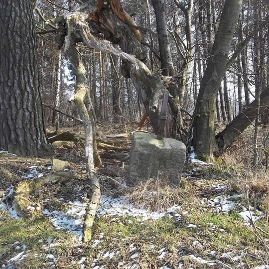 Kříž u lesíku v místě zaniklého Malého Horšína