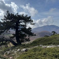 Serra di Crispo