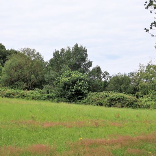Hecke in der Kleingartenanlage Am Ruhhof