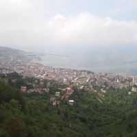 Rize