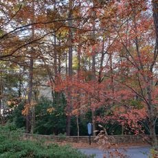 Ansley Park