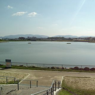 Sayama Pond