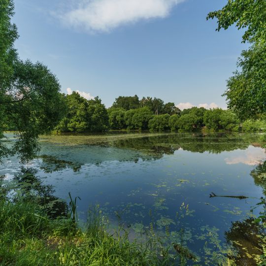 Ponds in Aleksandrovo-Shchapovo