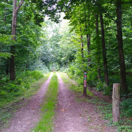 Rehbergholz und Schwennholz