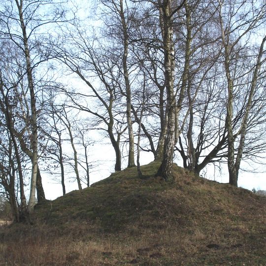 Grabhügel bei Pansdorf