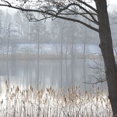 Quellen am Großen Schierensee