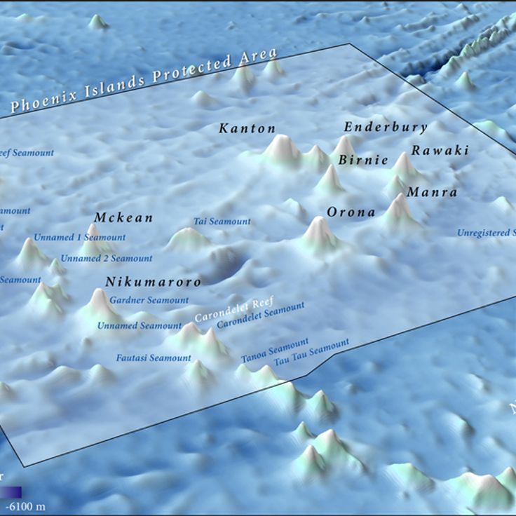 Área Protegida das Ilhas Fênix