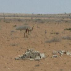 Puntland