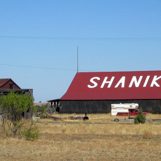 Shaniko