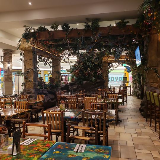 Rainforest Cafe