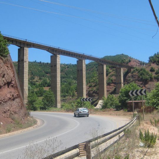 Bushtrica bridge
