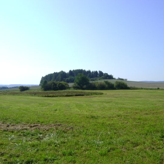 Tvrz Vranovická Hůrka