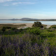 Fuente de Piedra Lagoon