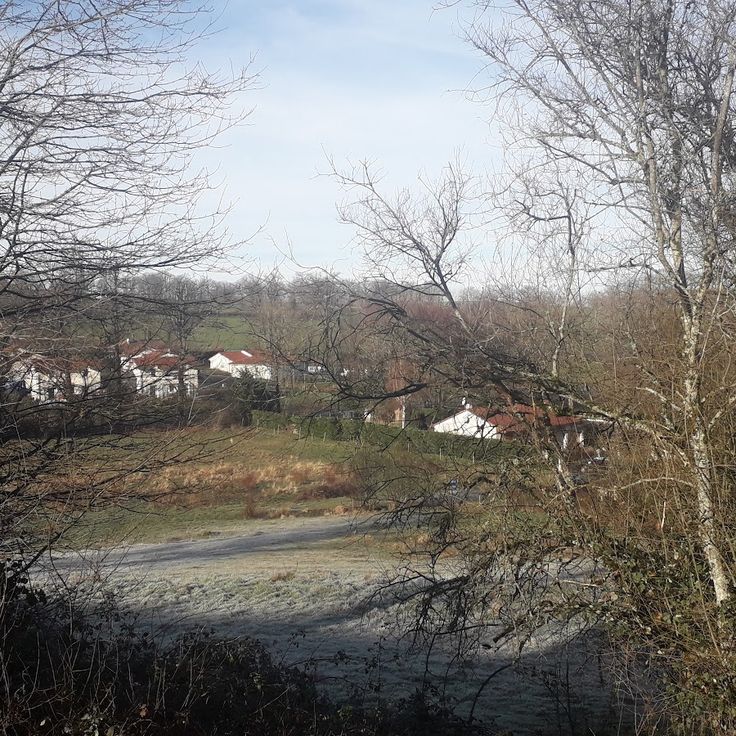 The Branviel Forest
