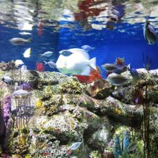 North Carolina Aquarium At Fort Fisher