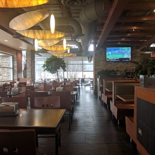 The Patio