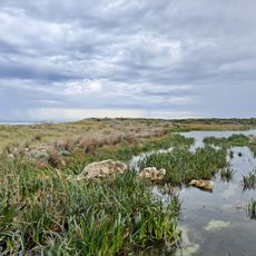 Piccaninnie Ponds National Park