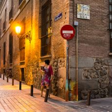 Palacio del Marqués de la Regalía y del Conde de Bornos
